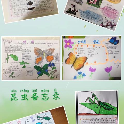 停课不停学，成长不停歇——翠华路小学曲江分校三年级实践记录