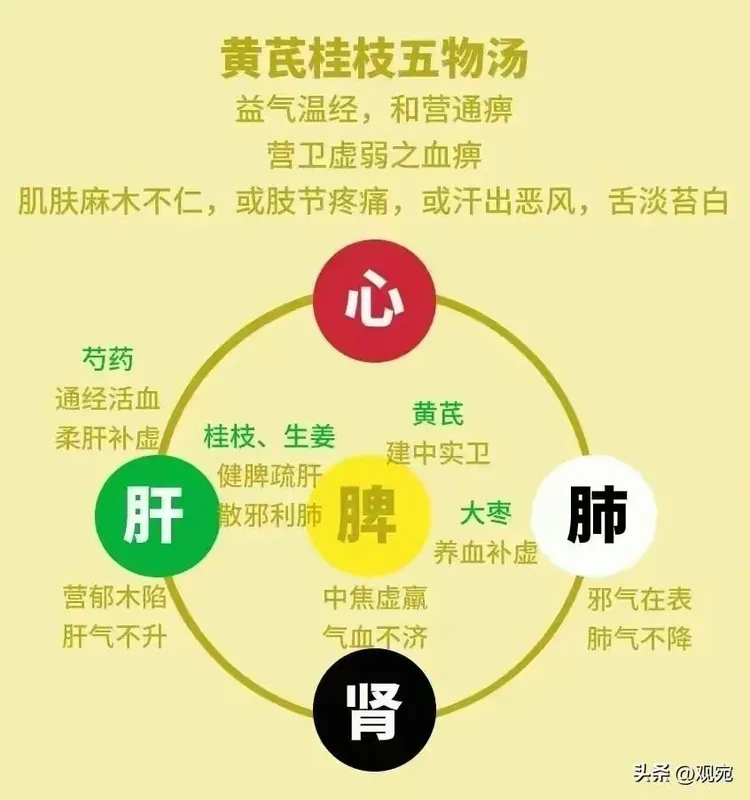 张仲景的黄芪桂枝五物汤