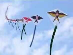 新教育之推进每月一事——北二分五年级风筝节