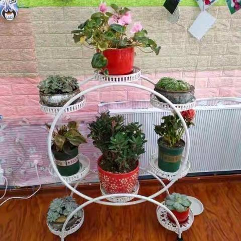 2021年塘格木镇中心幼儿园寒假致家长的一封信