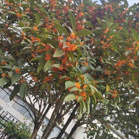 南方的天气，北方的人