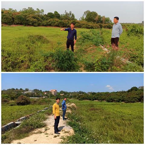 陈村街道破解土地撂荒难题  加快推进乡村振兴