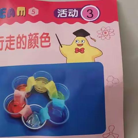 宝宝乐幼儿园大一班科学区角活动《会行走的颜色》