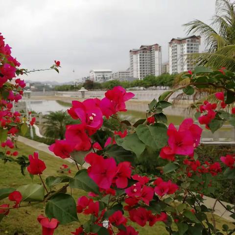 不去五指山，不算到海南。阳阳两天在五指山的活动。