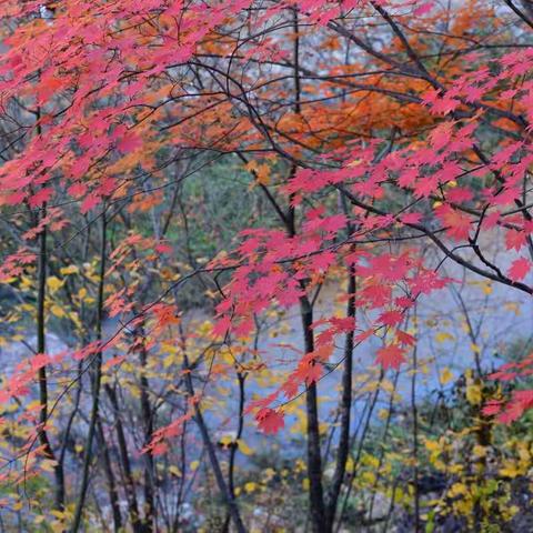 美人，美景，美好生活!