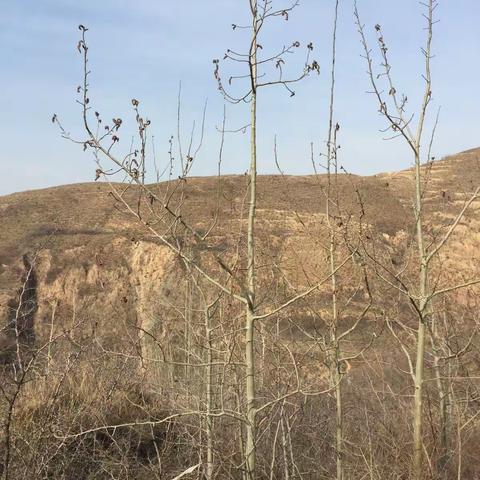 2017春天周末欢乐游