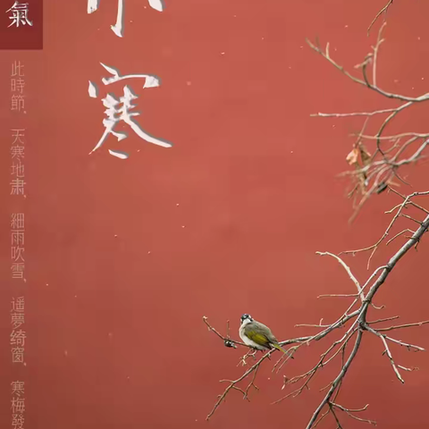 小寒，原创文字/王淑兰