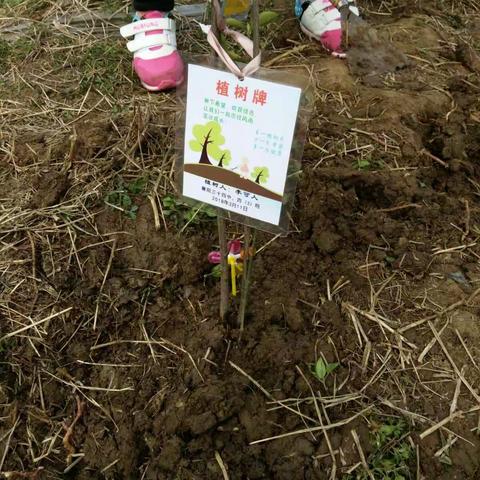 民间义工协会植树节活动