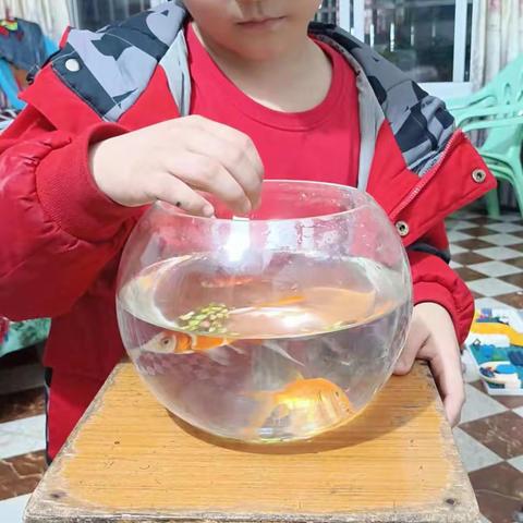 我和动物是朋友