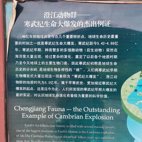 冒天山公园参观感想