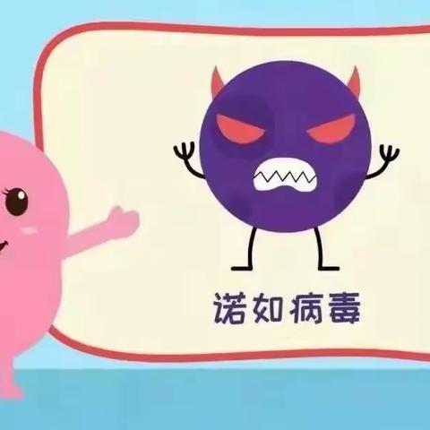【预防诺如病毒▪︎呵护幼儿健康】——旧城镇葛庄幼儿园诺如病毒宣传知识