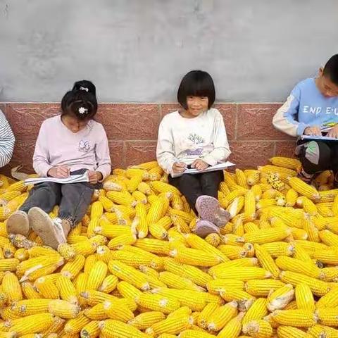 高密市姜庄镇老屯小学  世界粮食日 ——齐成长，同繁荣，共持续  行动造就未来