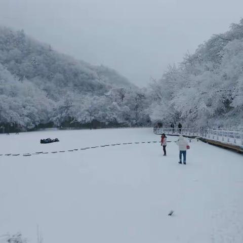 汉水源森林公园冬景