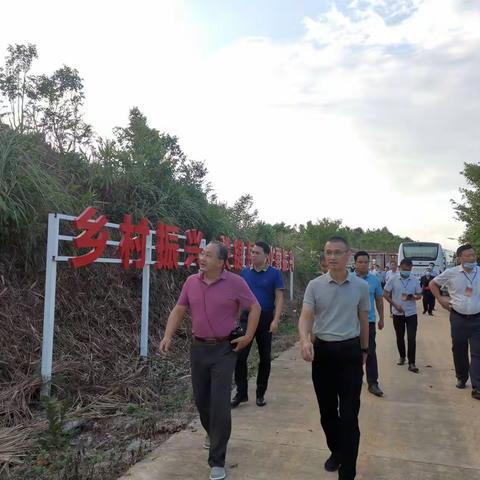 大成镇党委书记陈海云带队到南丰镇调研乡村振兴产业项目