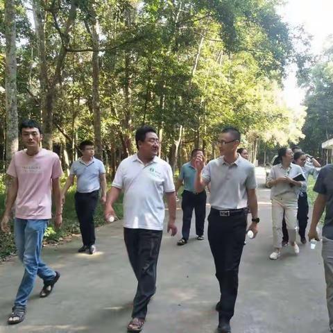 大成镇领导班子到中国热带农业科学院儋州院区调研
