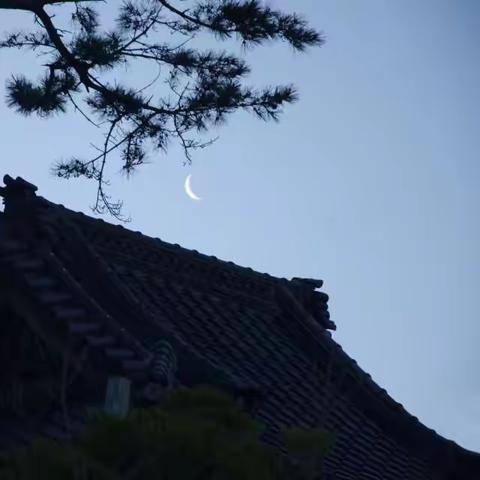 不眠之夜苦吟