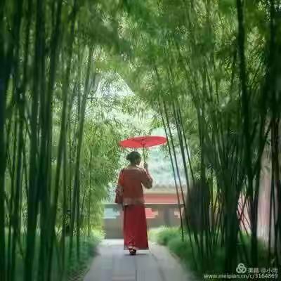 雨中小红伞