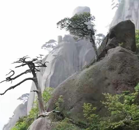 无限风光三清山