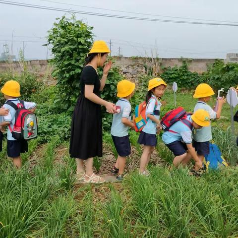 初探小学    幼小衔接