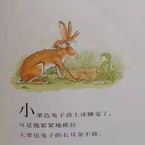 🌱沐苗教育🌱亲子阅读📖 让爱流动💞