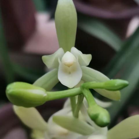 闲读宋词（四）