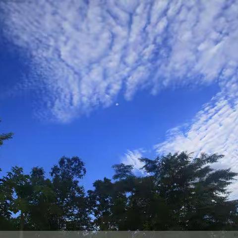 卜算子--十六首宋代名家词句欣赏