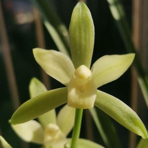 闲读诗经（四）