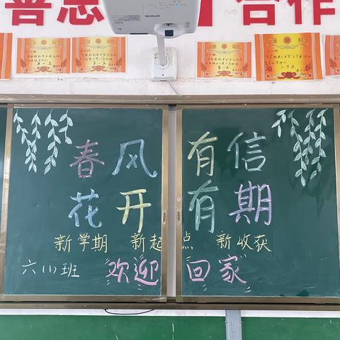 #春风有信来报道，花开有期正当时