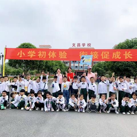 走进小学初体验，幼小衔接促成长。