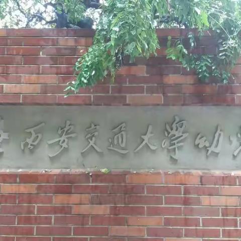 幼儿园实践活动