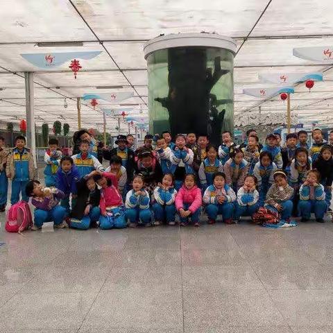 八道小学 一年二班 《春之声——研学游》