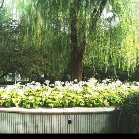 缅怀伟大领袖毛主席