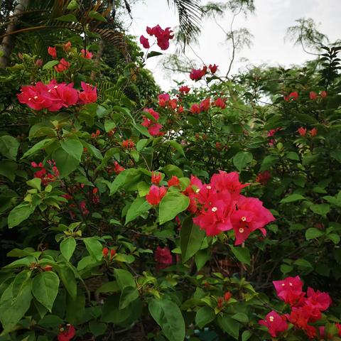 美景就在我眼前