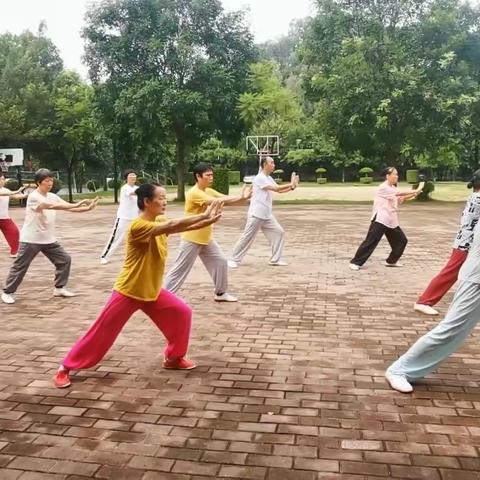 闻鸡起舞太极人