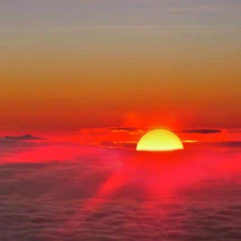 《濮阳市第二实验小学四年级（九）班最美读书声  、最美小讲师》