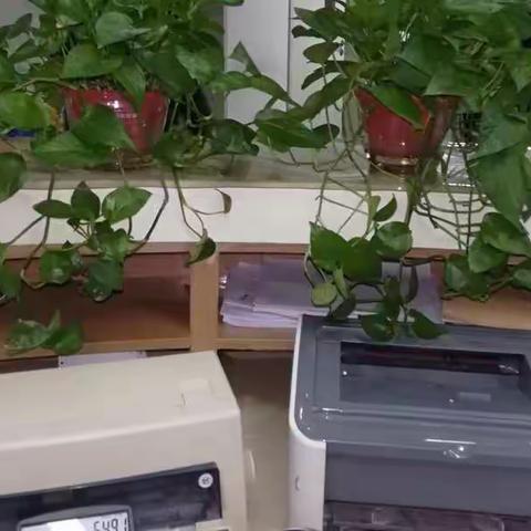 回顾2019展望2020