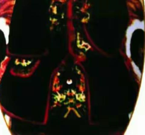 第二实验小学二（9）班春雨读书社团第30期读书活动《了解甲骨文》