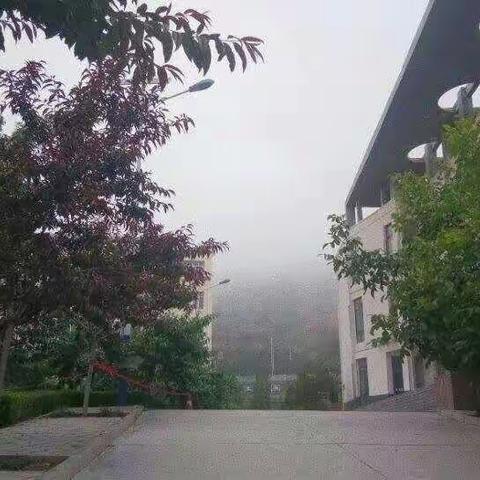 梦想随支教飞扬——在实践中学习，在感悟中成长