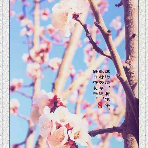 听花