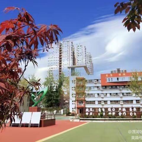 精神卓绝，砥砺前行——莲湖区郝家巷小学党支部组织党史学习教育电影课堂《我的父亲焦裕禄》