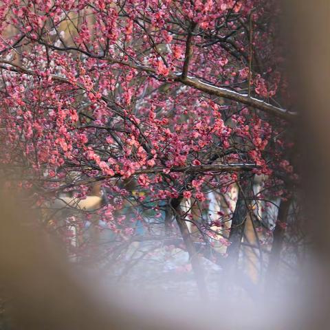 推开那扇悲怆的窗