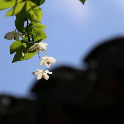 握着、走着、放飞着……