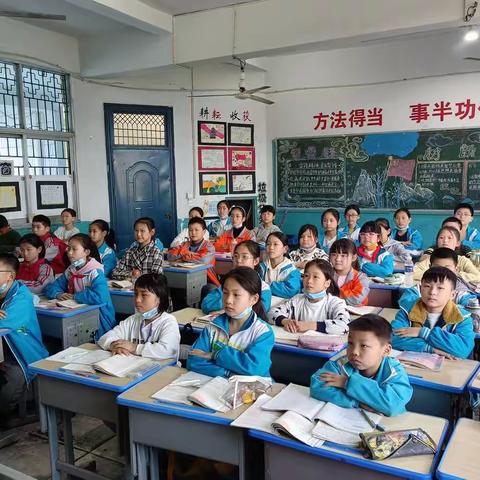 北门小学五1班反诈骗主题班会