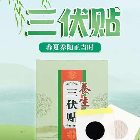 三伏天的调理