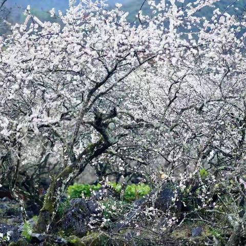 清远水浪花谷