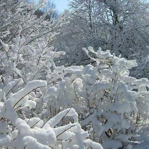 冰雪童话世界——抚顺清原