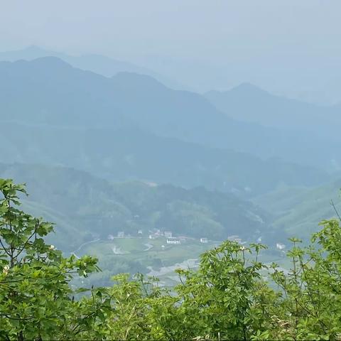 茶马古道访茶记（二）