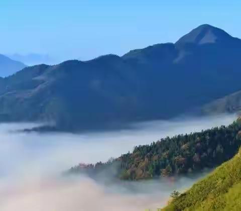 “茶马古道”访茶记