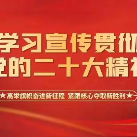 平罗县城关二小全面学习宣传贯彻党的二十大精神