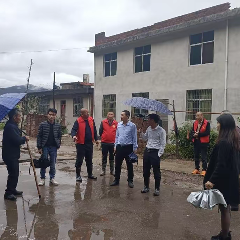 『盘古山镇和平村文明实践站』开展“地质灾害巡查”活动